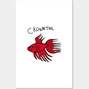 red crowntail betta Posters and Art